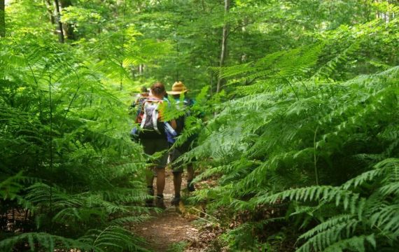 Ob C7b605 Imgp0698 Randonnee Du 25 Juin 2017 Fo