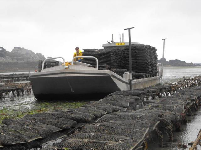 Les Huitres de Saint Riom