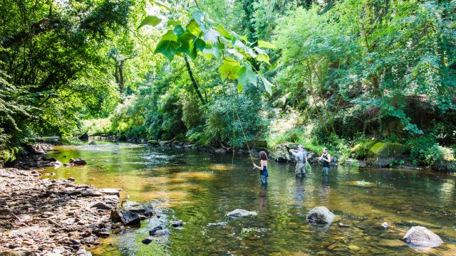 Pêche à la mouche sur le Léguer