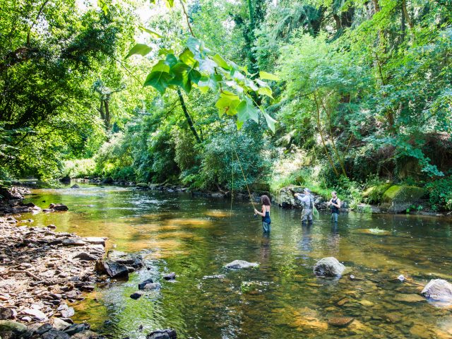 Pêche à la mouche sur le Léguer