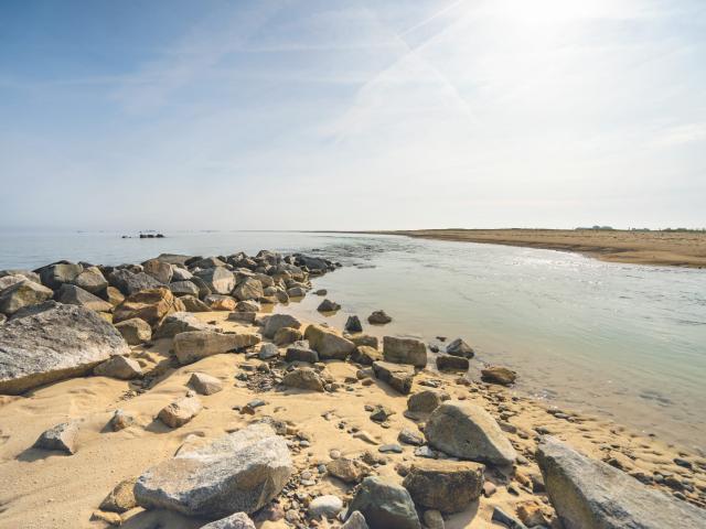 Le sillon de Talbert