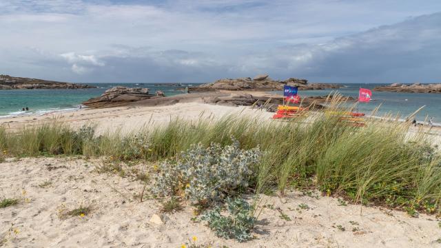 Ecole de voile Trégastel