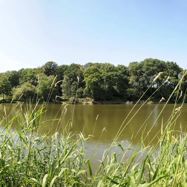 Etang du Poulloguer