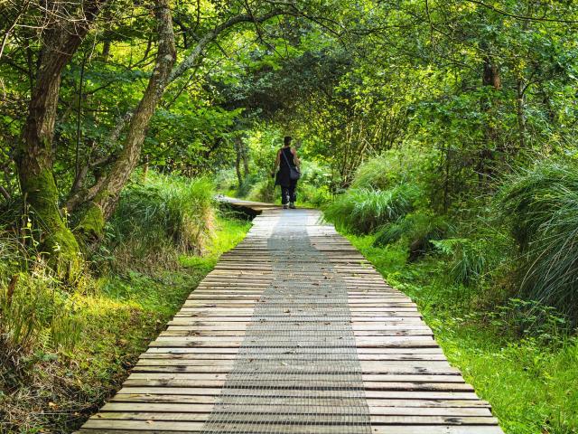 Etang Neuf Plounérin