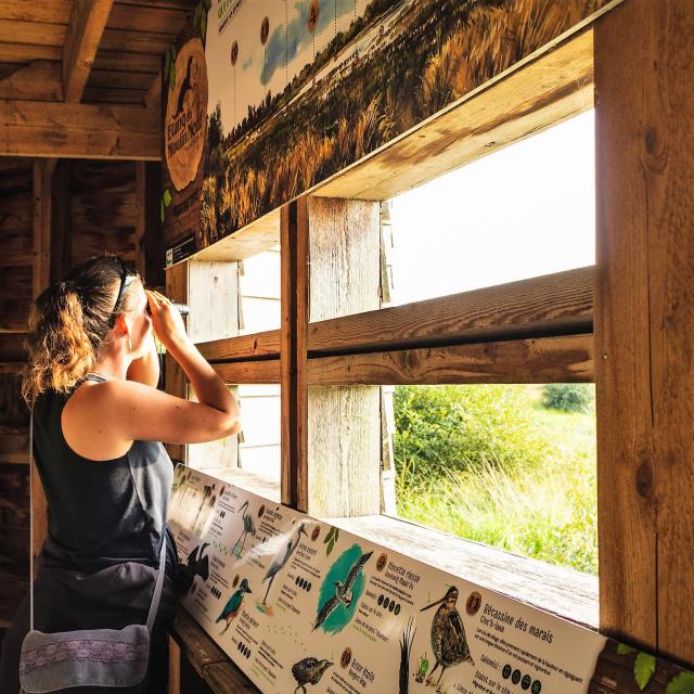 Etang Neuf Plounérin