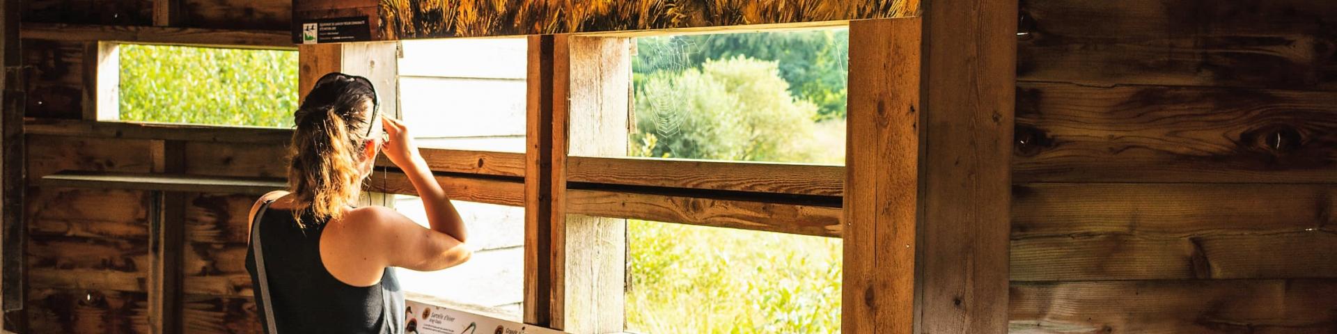 Etang Neuf Plounérin