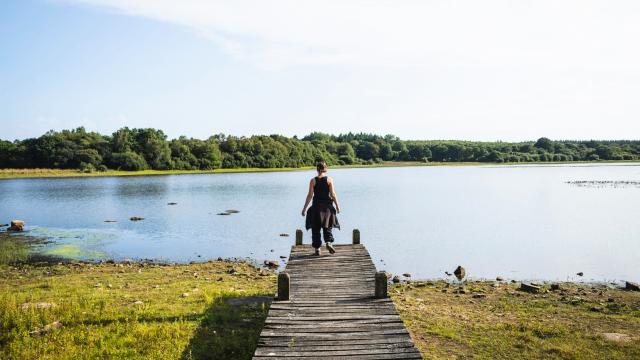 Etang Neuf Plounérin