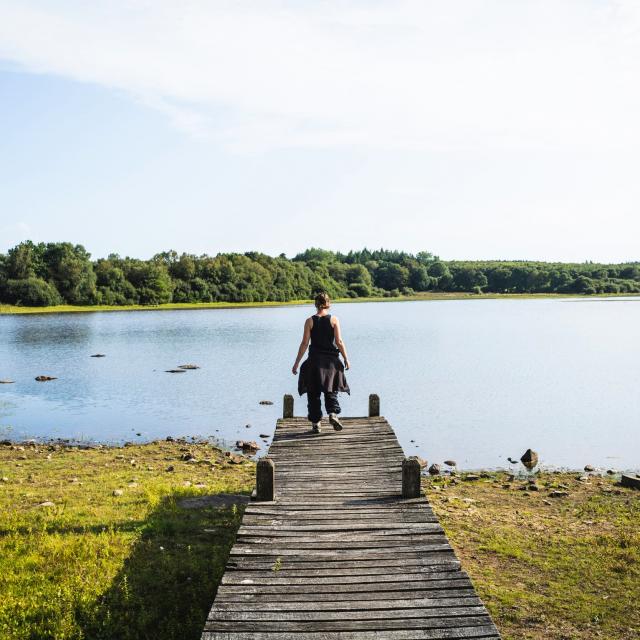 Etang Neuf Plounérin