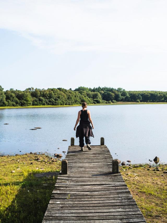 Etang Neuf Plounérin