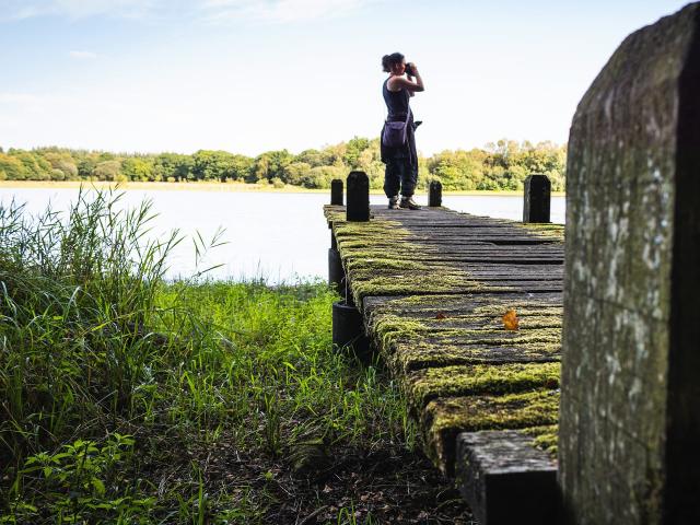 Etang Neuf Plounérin