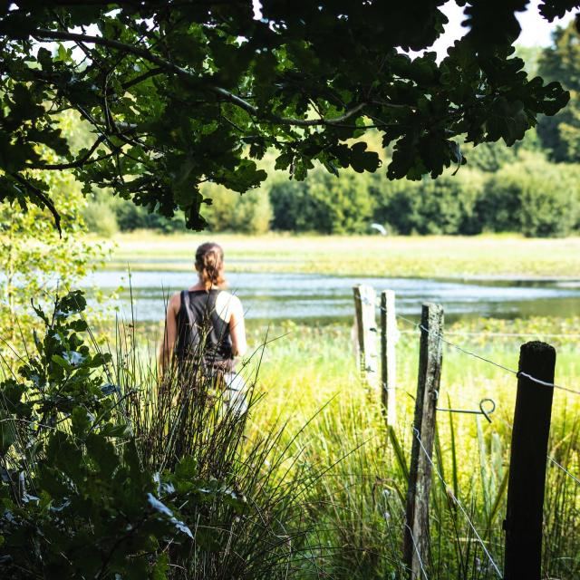 Etang Neuf Plounérin