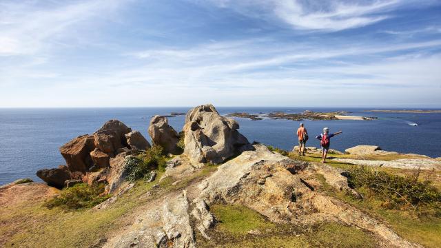 Ile Milliau en face du port de Trébeurden