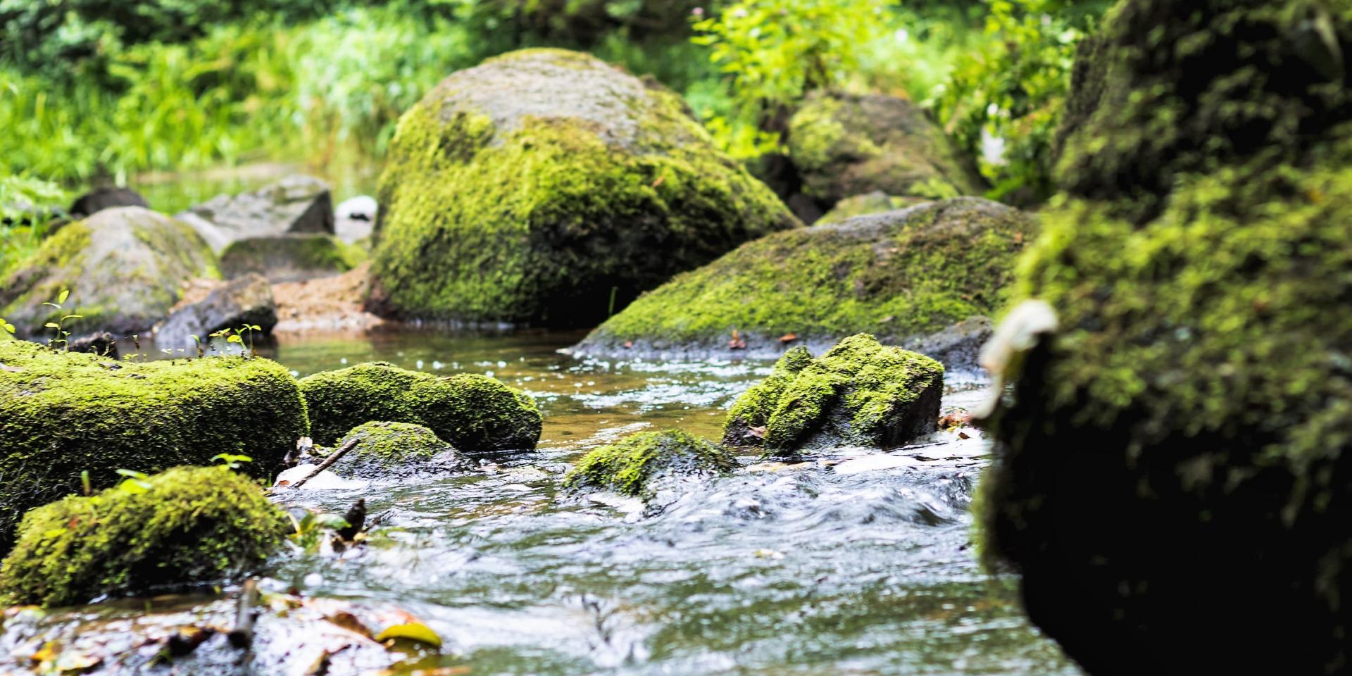 Le Léguer Tonquédec