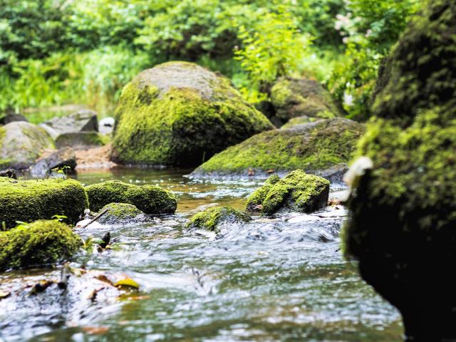 Le Léguer Tonquédec