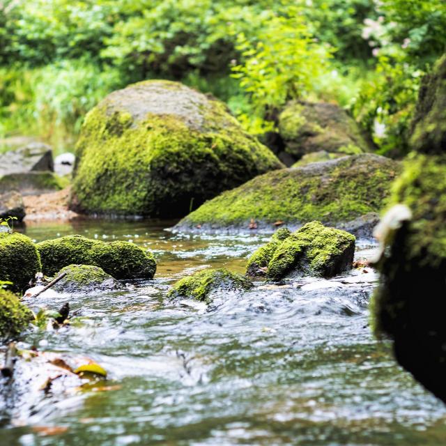 Le Léguer Tonquédec