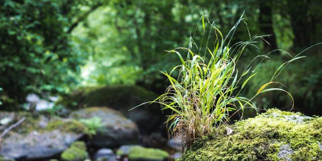 Le Léguer Tonquédec