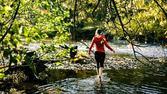 Le Léguer - Rivière sauvage