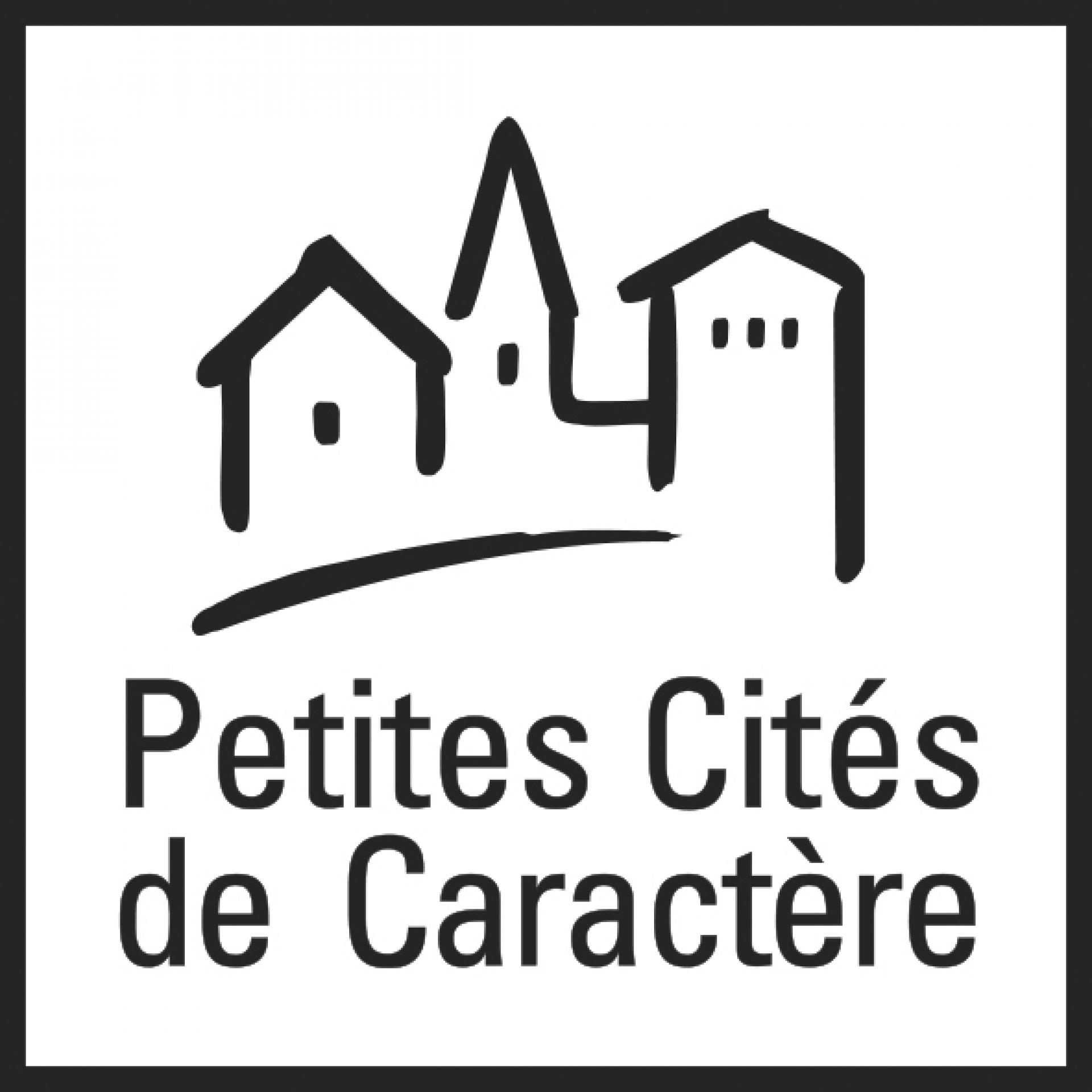 logotype PCC carré noir
