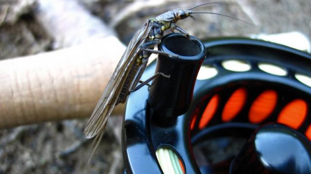 Parcours mouche Kernansquillec