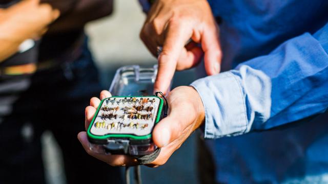 Pêche à la mouche sur le Léguer