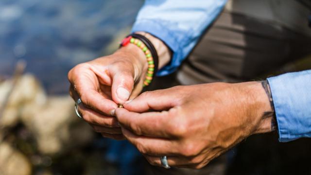 Pêche à la mouche sur le Léguer