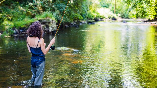 Pêche à la mouche sur le Léguer