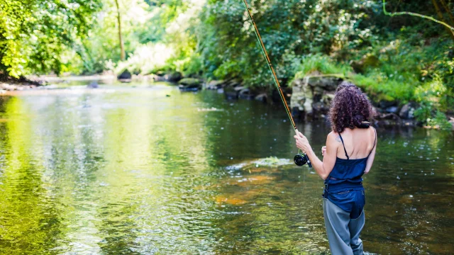 Pêche à la mouche sur le Léguer