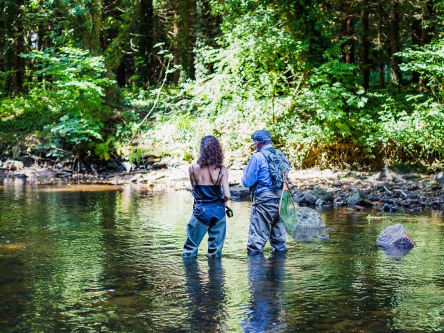Pêche à la mouche sur le Léguer