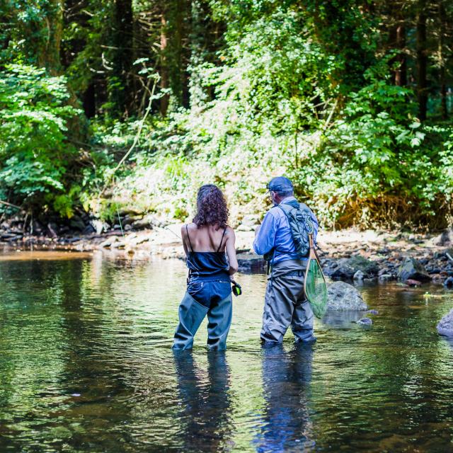Pêche à la mouche sur le Léguer