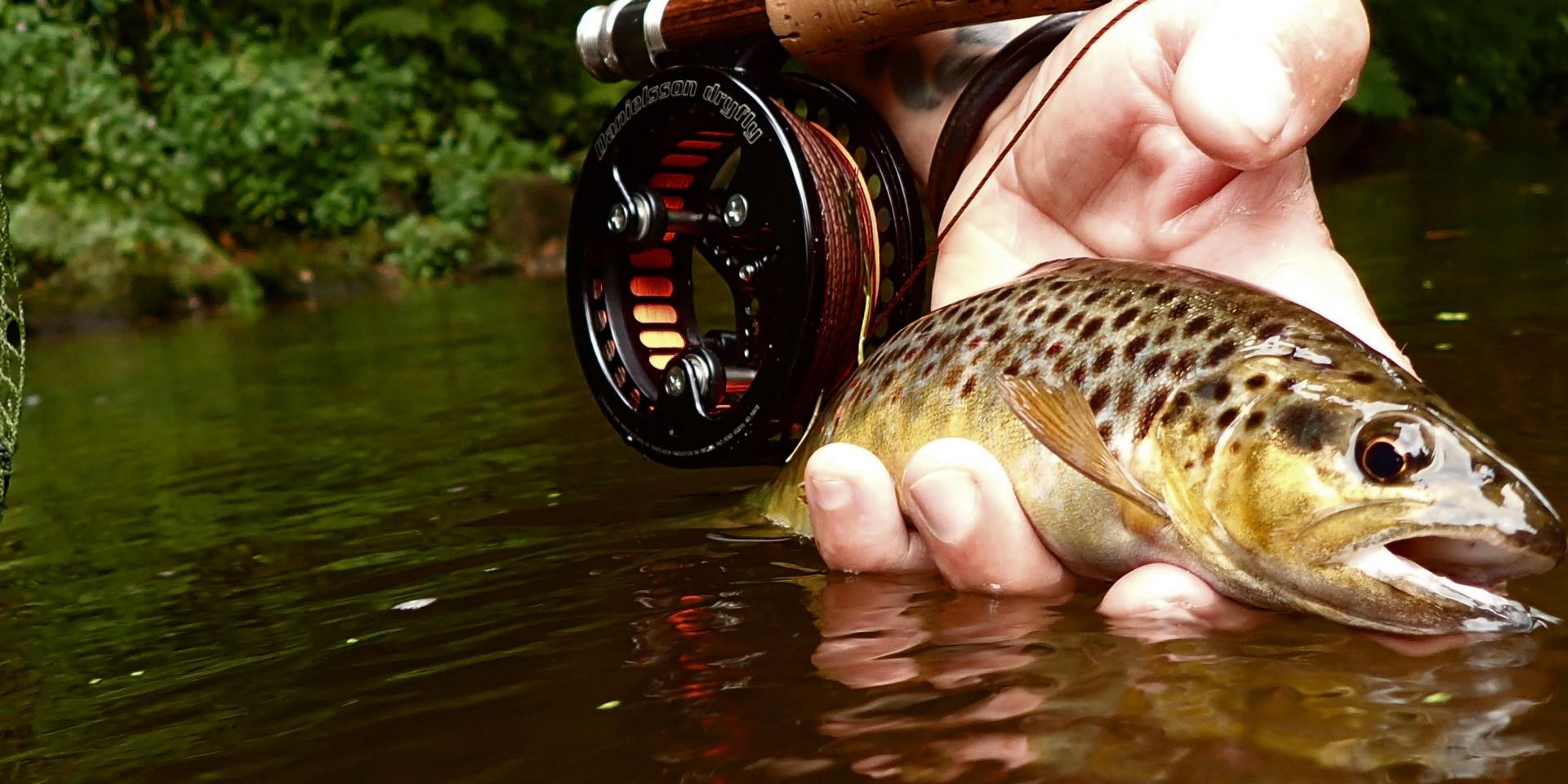 Pêche à la mouche sur le Léguer Copie