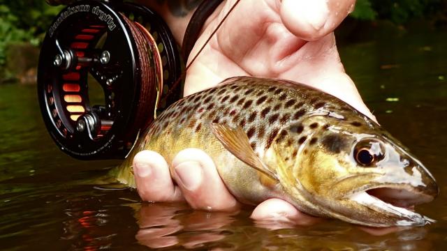 Pêche à la mouche sur le Léguer Copie