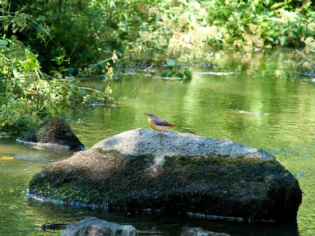Ruisseau du Poulloguer