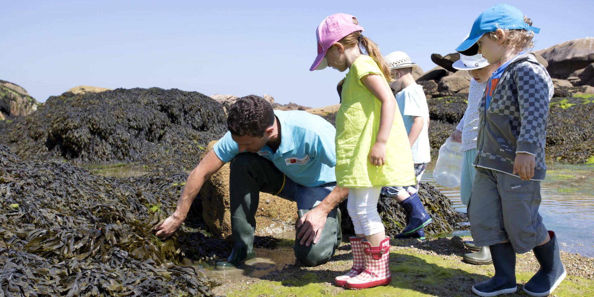 Sortie Découverte Marée Basse Aquarium Trégastel Alexandre Kozel (2)