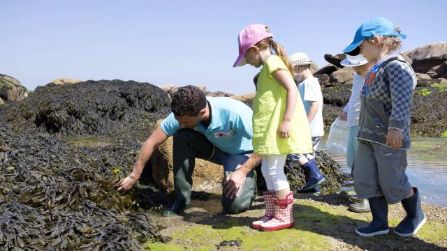 Sortie Découverte Marée Basse Aquarium Trégastel Alexandre Kozel (2)