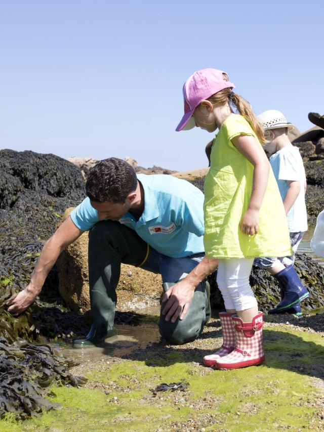 Sortie Découverte Marée Basse Aquarium Trégastel Alexandre Kozel (2)