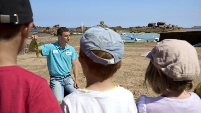 Sortie Découverte Marée Basse Aquarium Trégastel Alexandre Kozel (3)