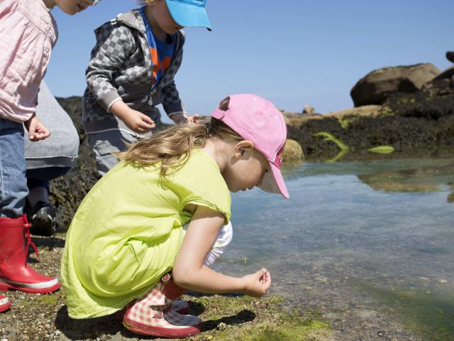 Sortie Découverte Marée Basse Aquarium Trégastel Alexandre Kozel (4)