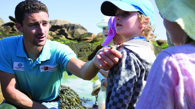 Sortie Découverte Marée Basse Aquarium Trégastel Alexandre Kozel (5)