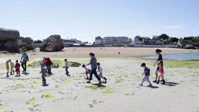 Sortie découverte : La plage à marée basse avec L'Aquarium Marin de Trégastel