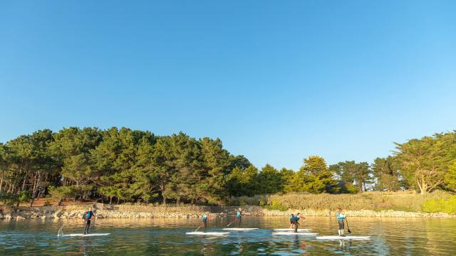 Stand up Paddle Ile Grande