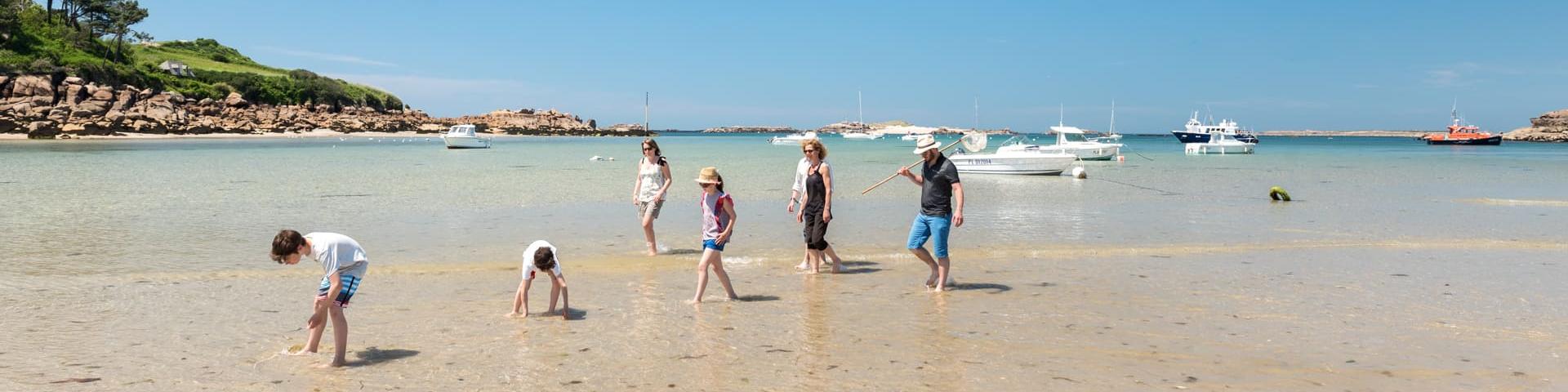 Pêche à pied à Trébeurden