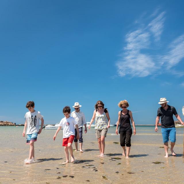 Pêche à pied à Trébeurden