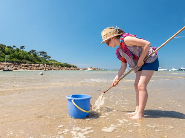Pêche à pied à Trébeurden