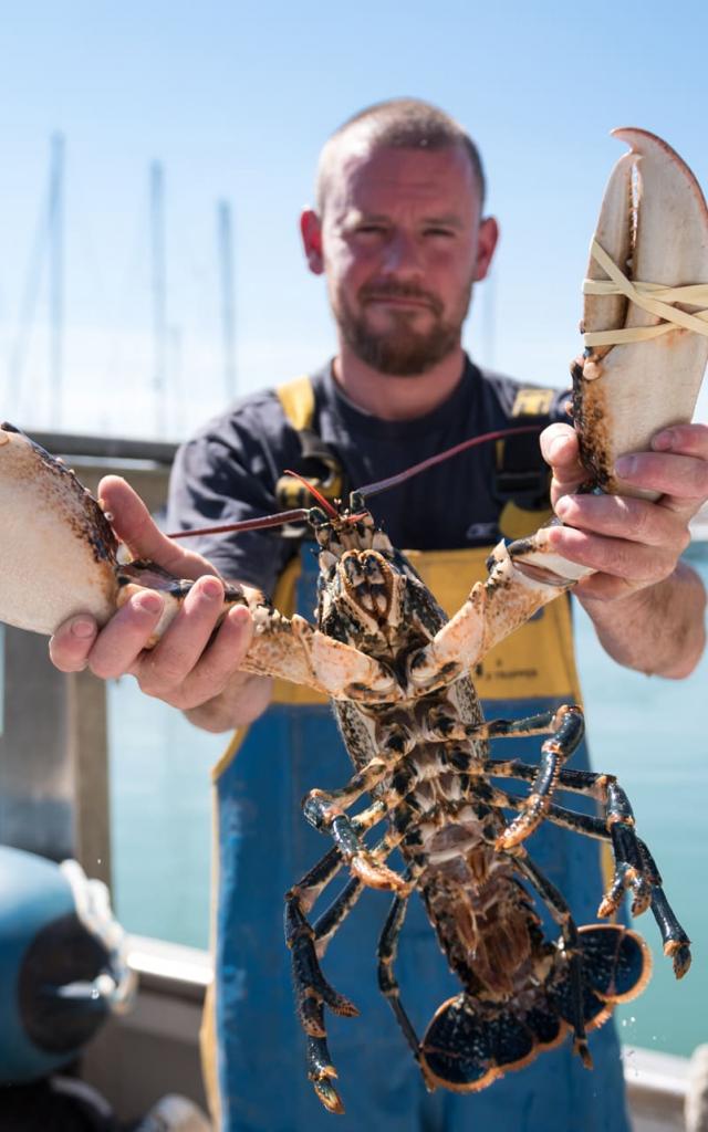 Pêche aux homards à Trébeurden