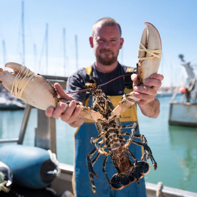 Pêche aux araignées de mer à Trébeurden