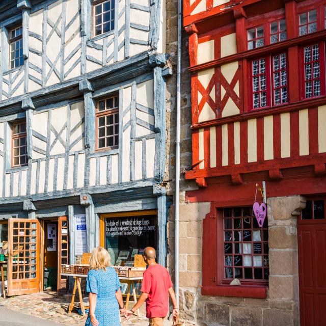Visite guidées Artiste à Tréguier