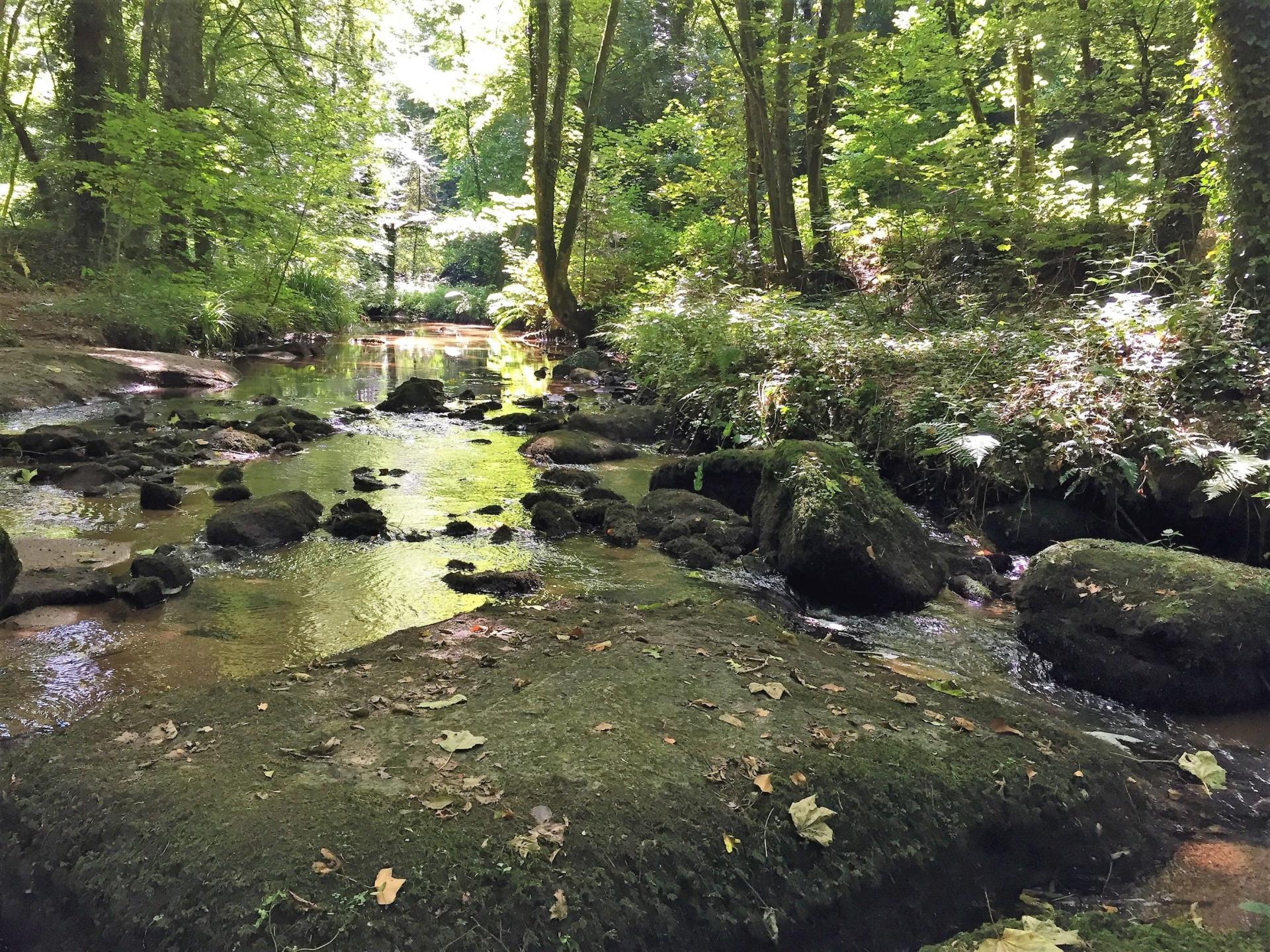 Les Piliers De La Vallée Des Traouïero