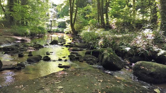 Vallée des Traouiéro
