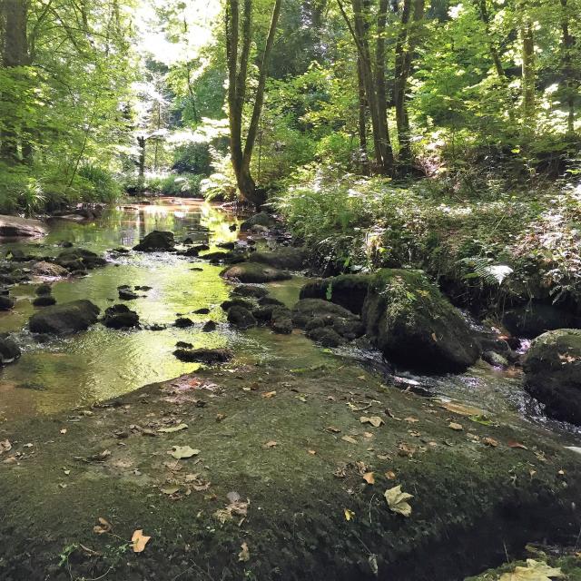 Traoñienn an Traouiero