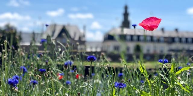 Lannion Quai D'aiguillon (2)
